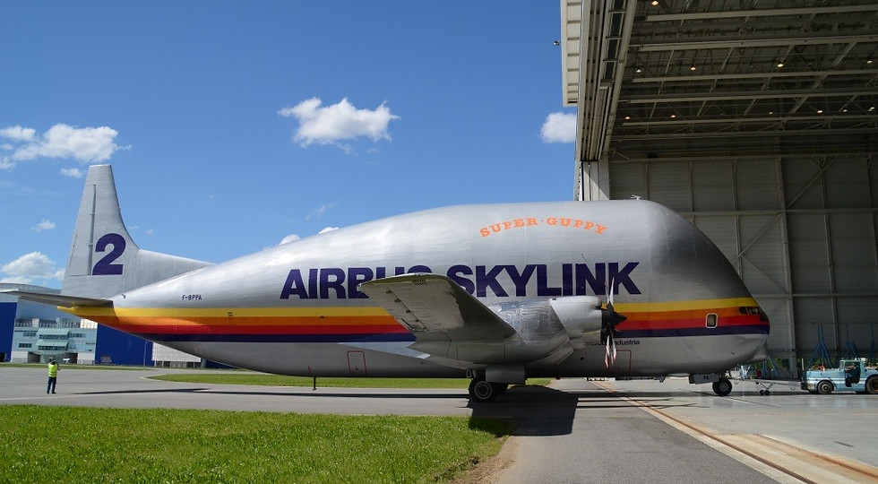 n513_1.jpg