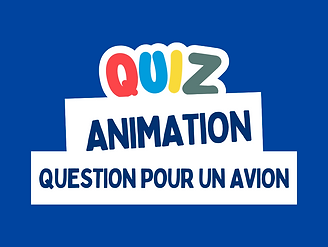 question_pour_avion.png
