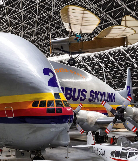 Vincent BRAMARY_Super Guppy_n°7.jpg